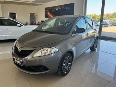 LANCIA - Ypsilon - 1.2 69 CV 5p. S&S Platinum 20.000 Km