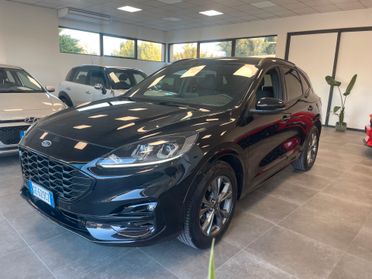 Ford Kuga 1.5 EcoBlue 120 CV aut. 2WD ST-Line