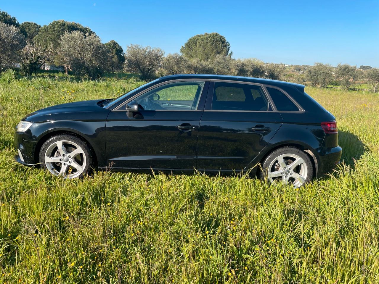 Audi A3 SPB 1.6 TDI Sport FINANZIABILE