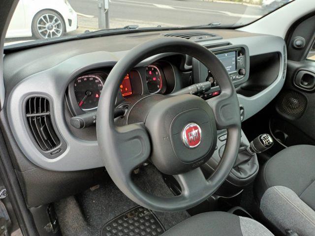 FIAT New Panda 1000 HYBRID CITY LIFE 70CV GRIGIO MAESTRO ITALIA