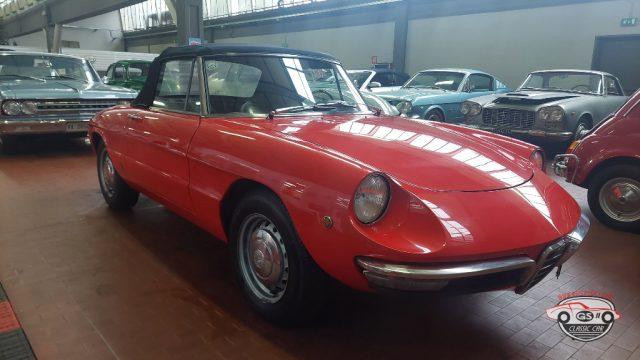 ALFA ROMEO Spider Duetto osso di seppia 1.3