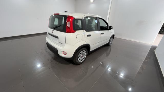 FIAT Panda 1.0 FireFly S&S Hybrid - VARI COLORI!