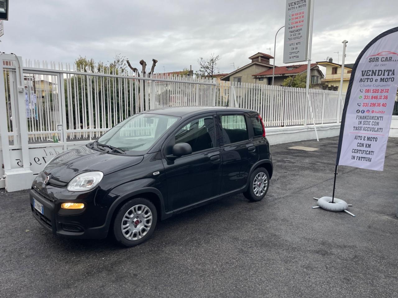 Fiat Panda 1.0 FireFly S&S Hybrid KM 19.200 SENSORI DI PARCHEGGIO