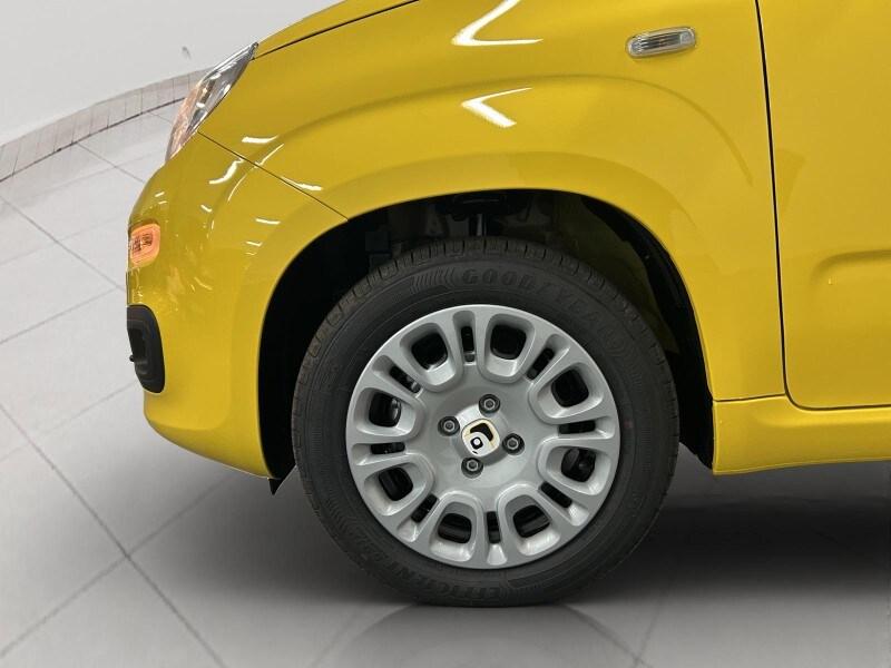 FIAT Panda 3ª serie Panda 1.0 FireFly S&S Hybr...