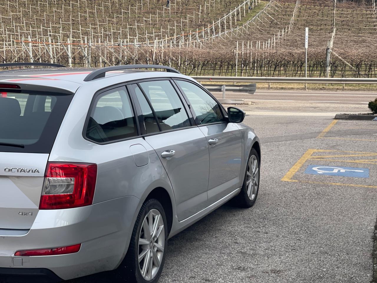 Skoda Octavia 1.6 TDI CR 110 CV 4x4 SI NEOPATENTATI