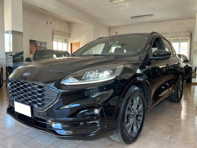 FORD Kuga 1.5 EcoBlue 120 CV aut. ST-Line