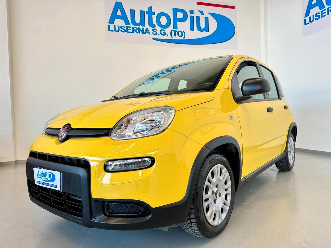 Fiat Panda 1.0 FireFly S&S Hybrid Pandina