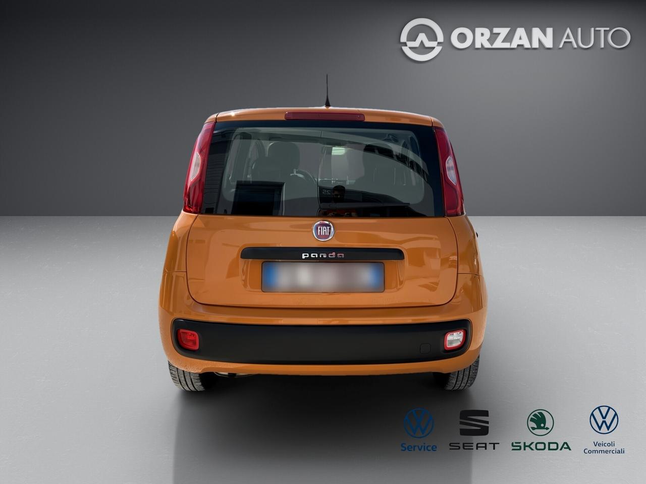 Fiat Panda 1.2 Easy VENDITE 3491558563 - 3478673115