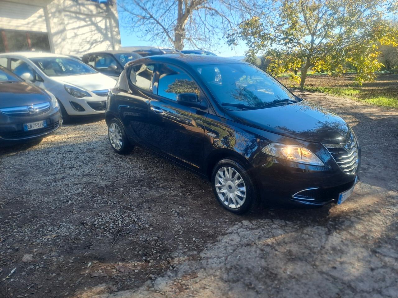 Lancia Ypsilon 1.3 MJT 16V 95 CV 5 porte S&S Platinum