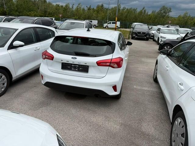 Ford Focus 1.5 EcoBlue 95 CV 5p. Business