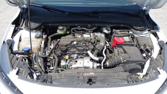 FORD Focus 1.5 EcoBlue 120cv automatico SW Business, Garanzia