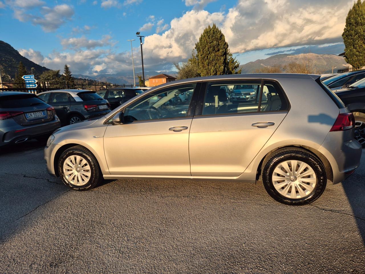 Volkswagen Golf Business 1.4 TGI 5p. Comfortline BlueMotion