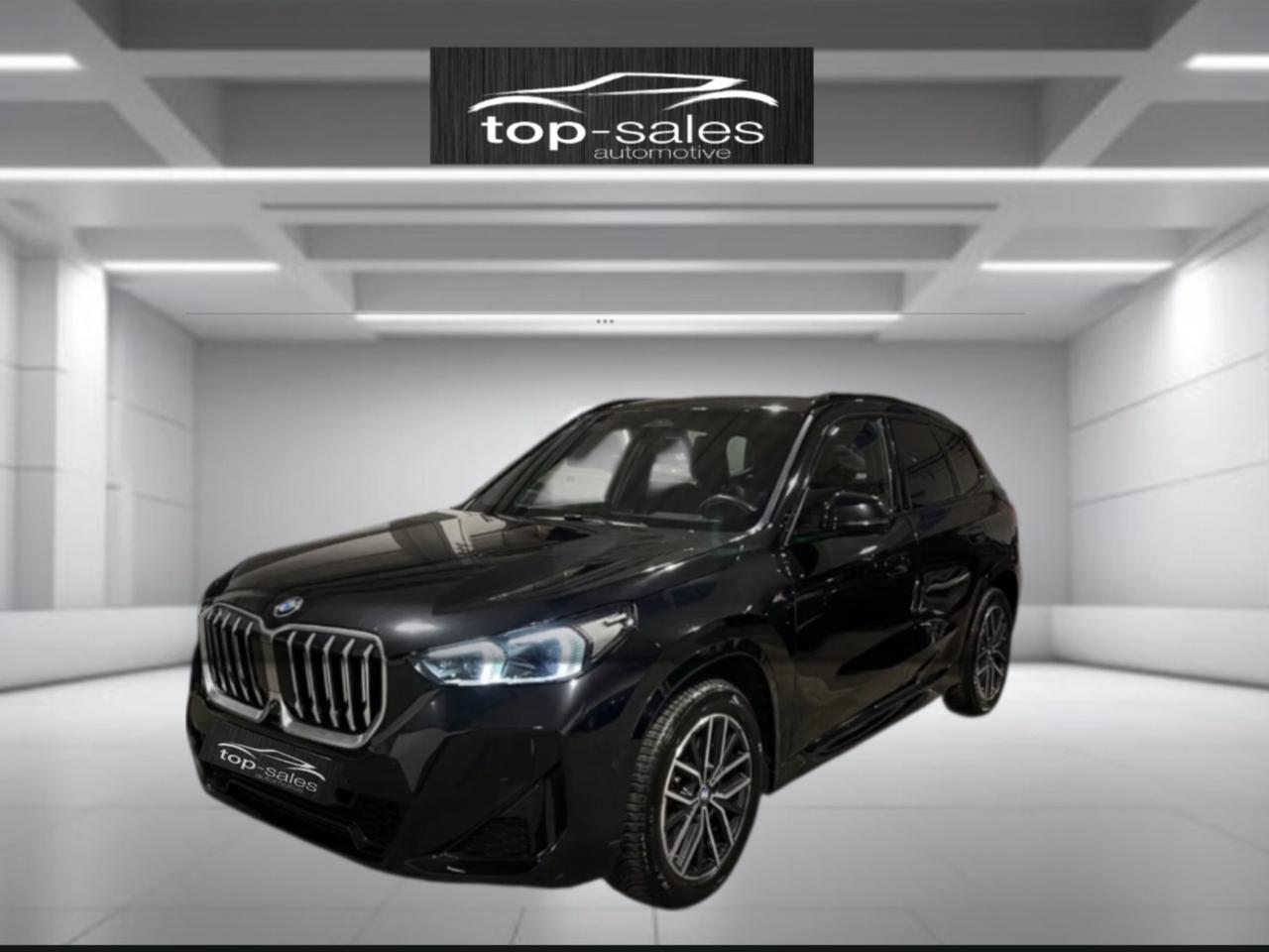 Bmw X1 sDrive 20i Msport Perfetta
