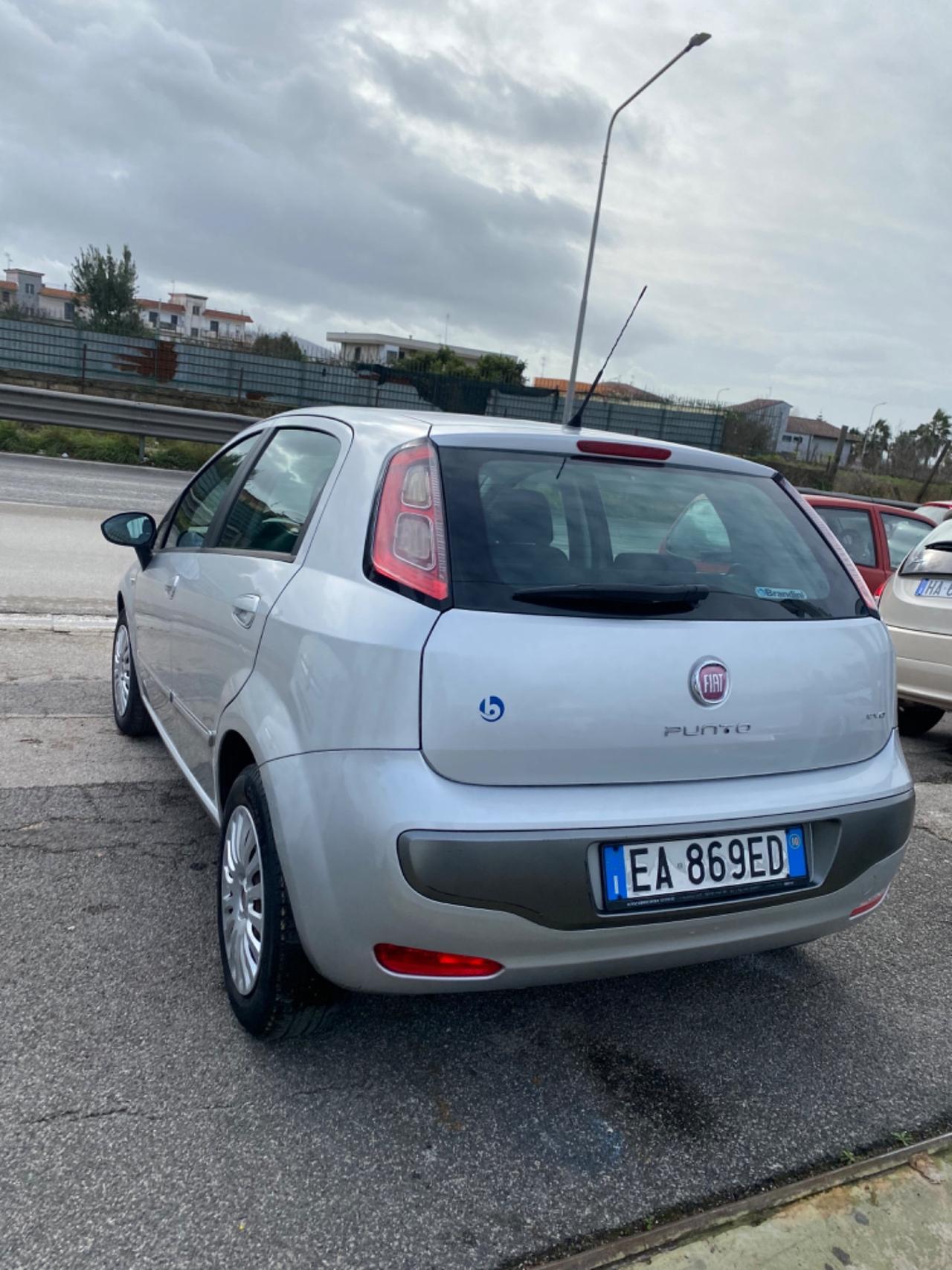 Fiat Punto Evo 1.4 5 porte Active