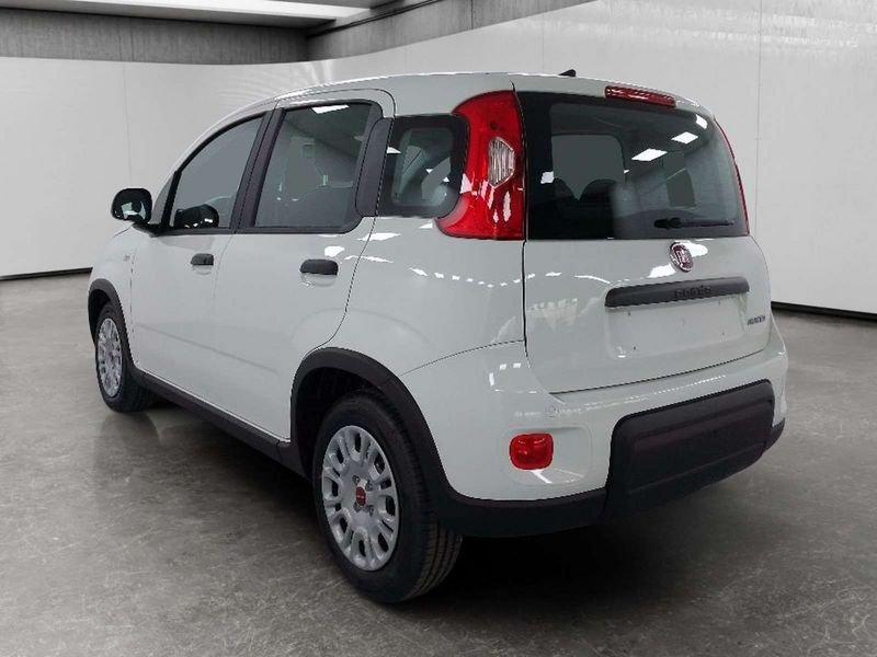 FIAT Panda 1.0 firefly hybrid s&s 70cv 5p.ti