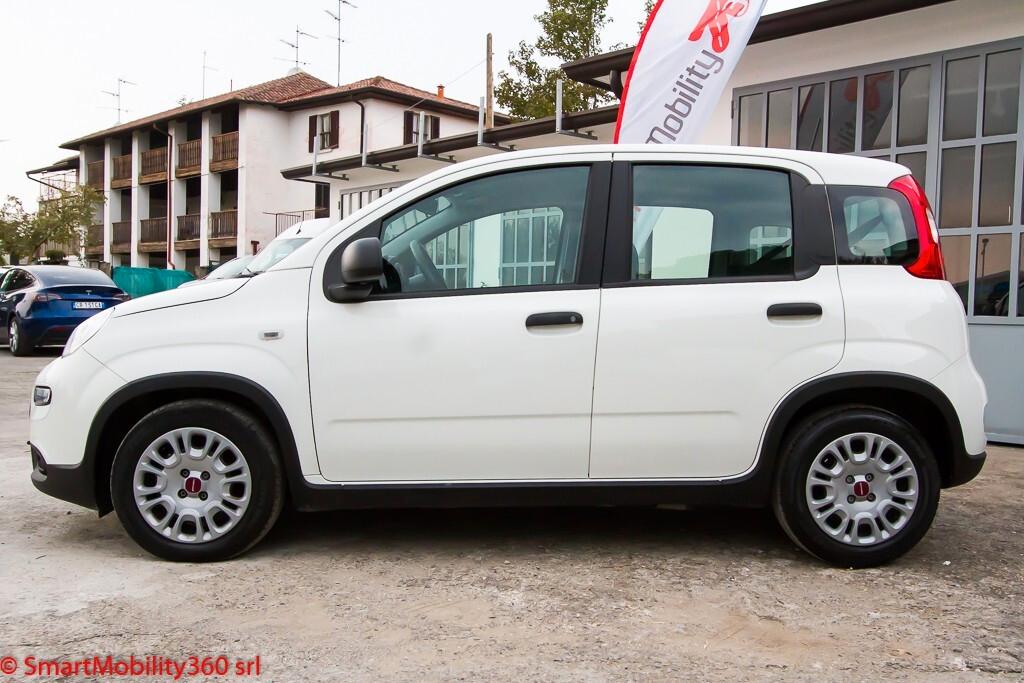 Fiat Panda 1.0 FireFly S&S Hybrid - Ok neopatentati, prezzo vero senza obbligo di finanziamento!