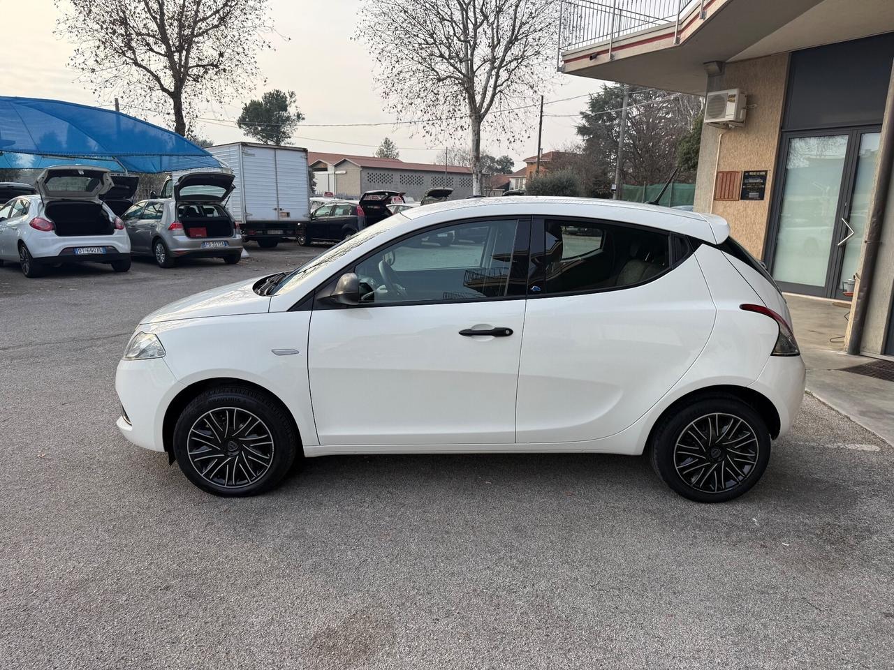 Lancia Ypsilon 1.2 69 CV 5 porte GPL Ecochic Elefa