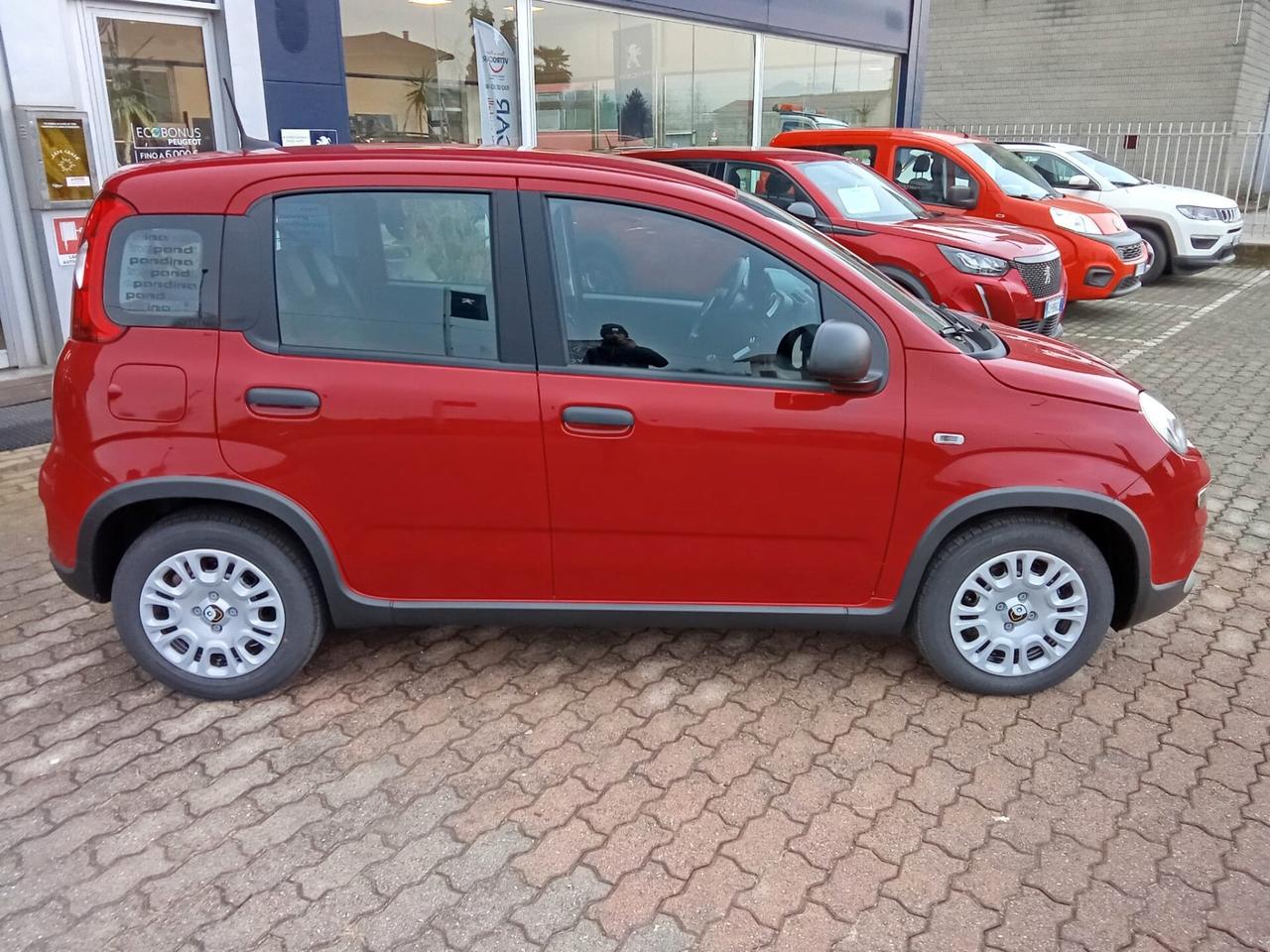 Fiat Panda 1.0 FireFly S&S Hybrid 70cv