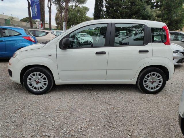 FIAT Panda 1.2 Easy GPL CLIMATIZZATORE OK NEOPATENTATI