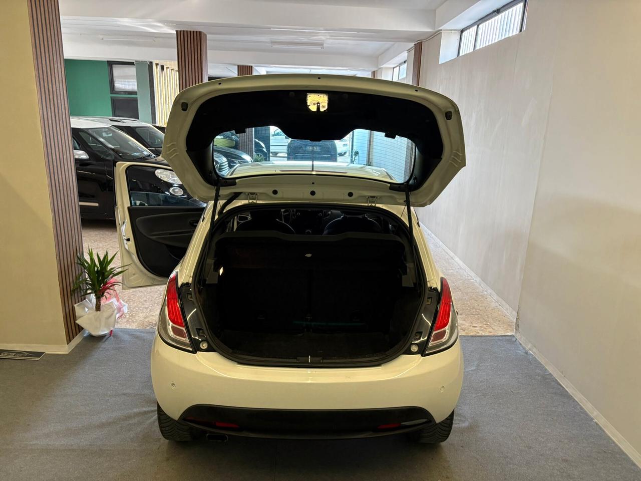 Lancia Ypsilon 1.3 MJT 16V 95 CV 5 porte S&S Platinum