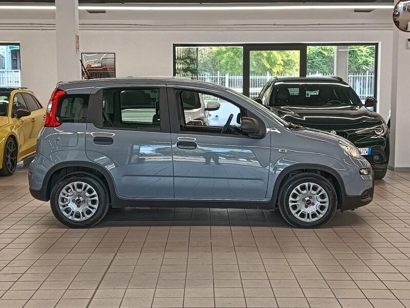 FIAT Panda 3ª serie Panda 1.0 FireFly S&S Hybrid