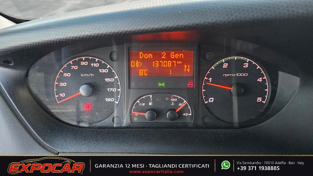 Iveco Daily - Trasporto Cavalli