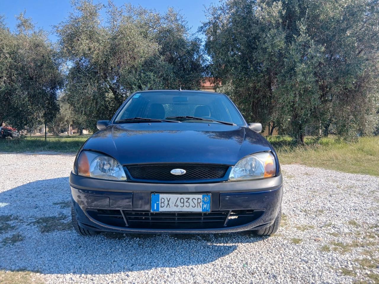 Ford Fiesta 1.2i 16V cat 5 porte Ambiente