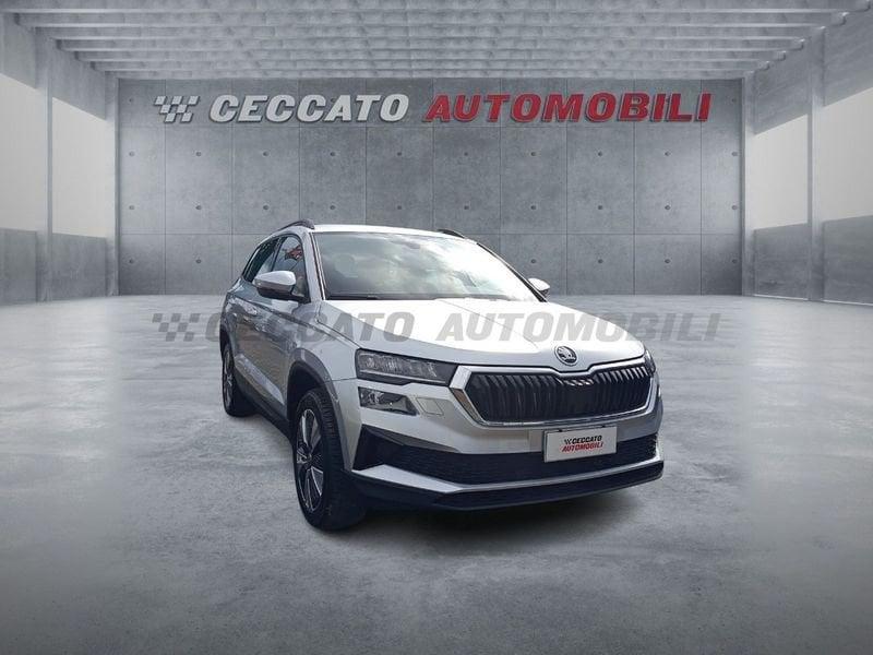 Skoda Karoq 2022 2.0 tdi evo Executive 115cv dsg