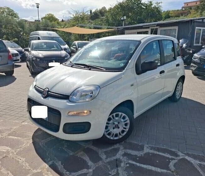 Fiat Panda 1.2 benzina EASY 69cv anno 2018