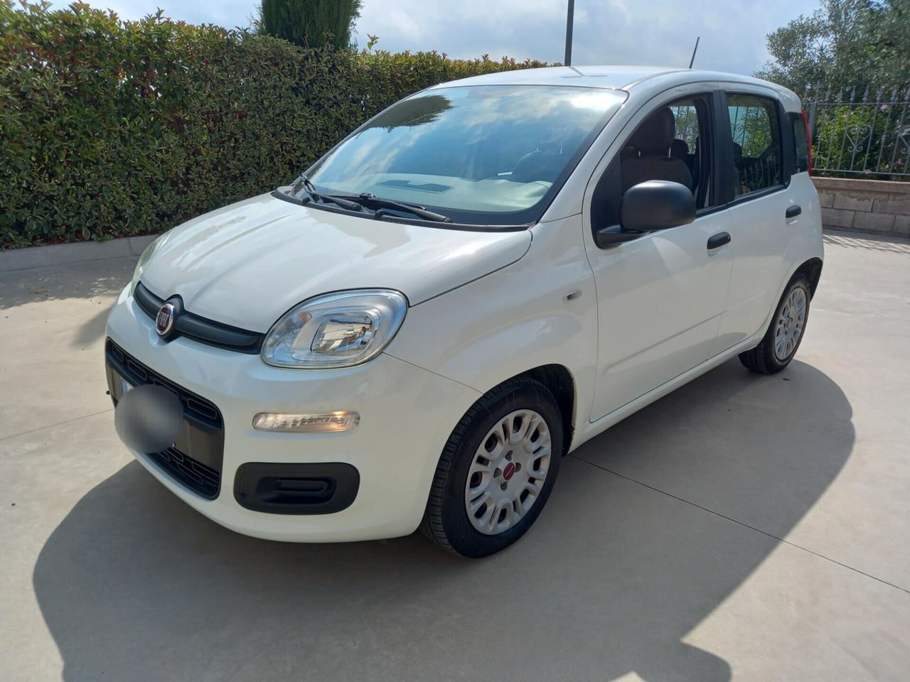 Fiat Panda BENZINA 5 POSTI 2021