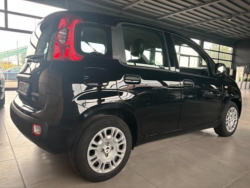 Fiat Panda 1.0 FireFly Hybrid NEOPATENTATI