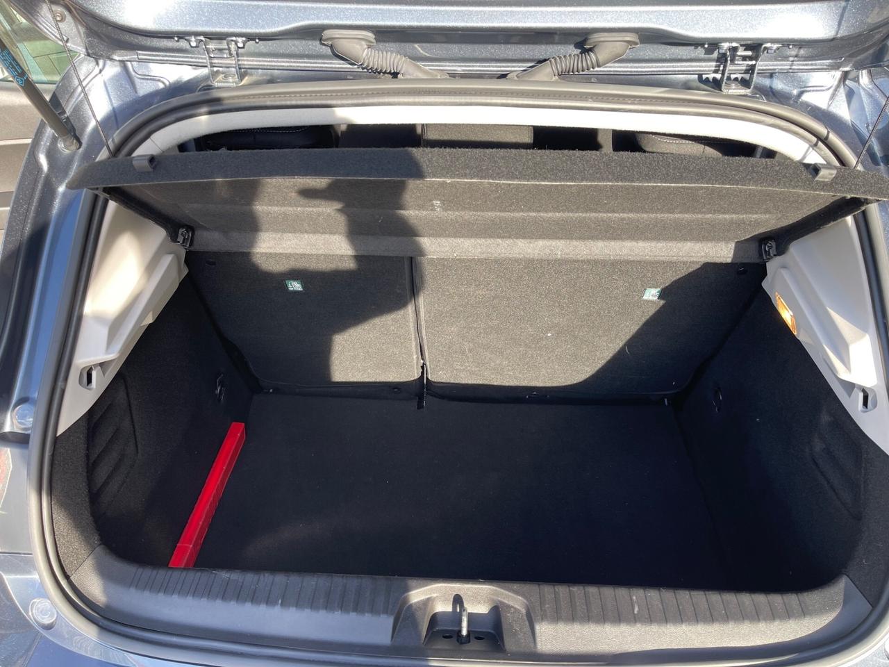 Renault Clio Blue dCi 100 CV 5 porte Business