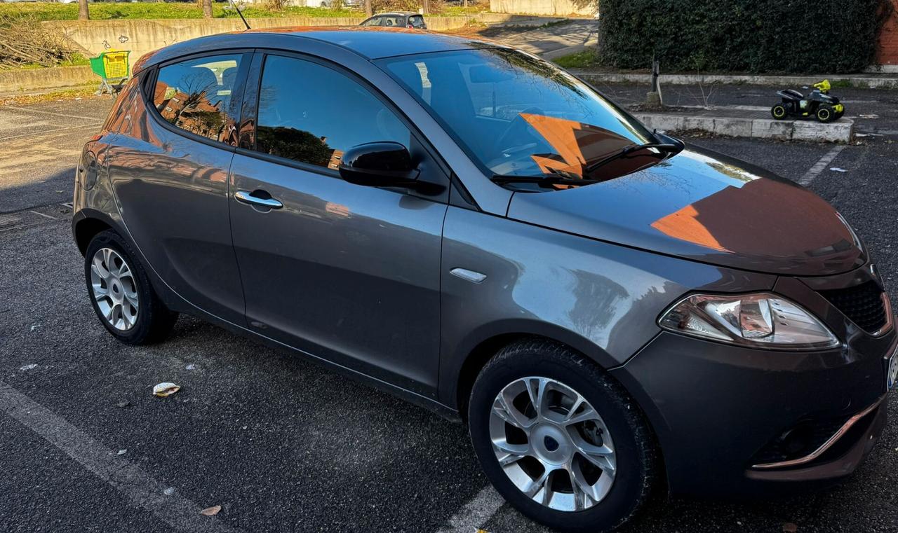 Lancia Ypsilon 1.3 MJT 16V 95 CV 5 porte S&S Gold