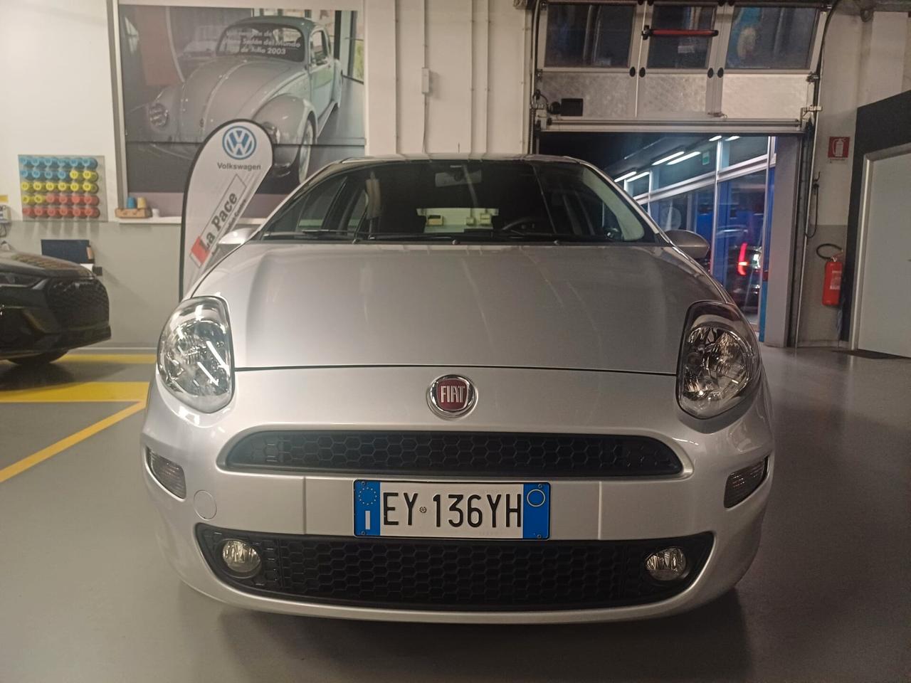 Fiat Punto 1.2 Street 5 porte *** OK NEOPATENTATI ***