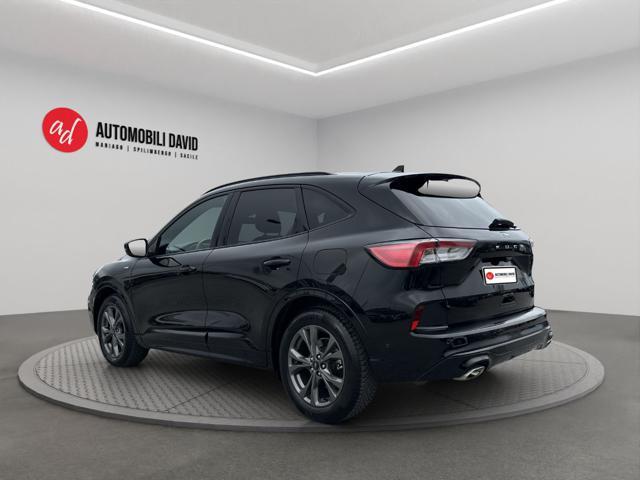 FORD Kuga 1.5 EcoBlue 120 CV aut. ST-Line B&O SOUND