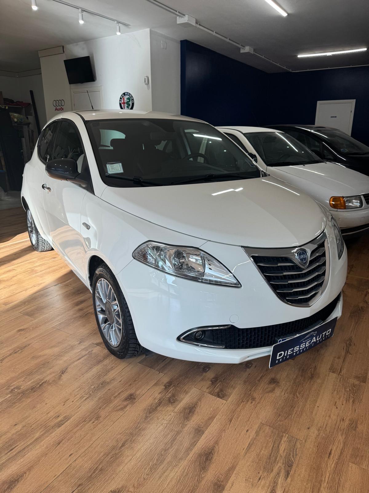 Lancia Ypsilon 1.3 MJT 16V 95 CV 5 porte S&S Platinum