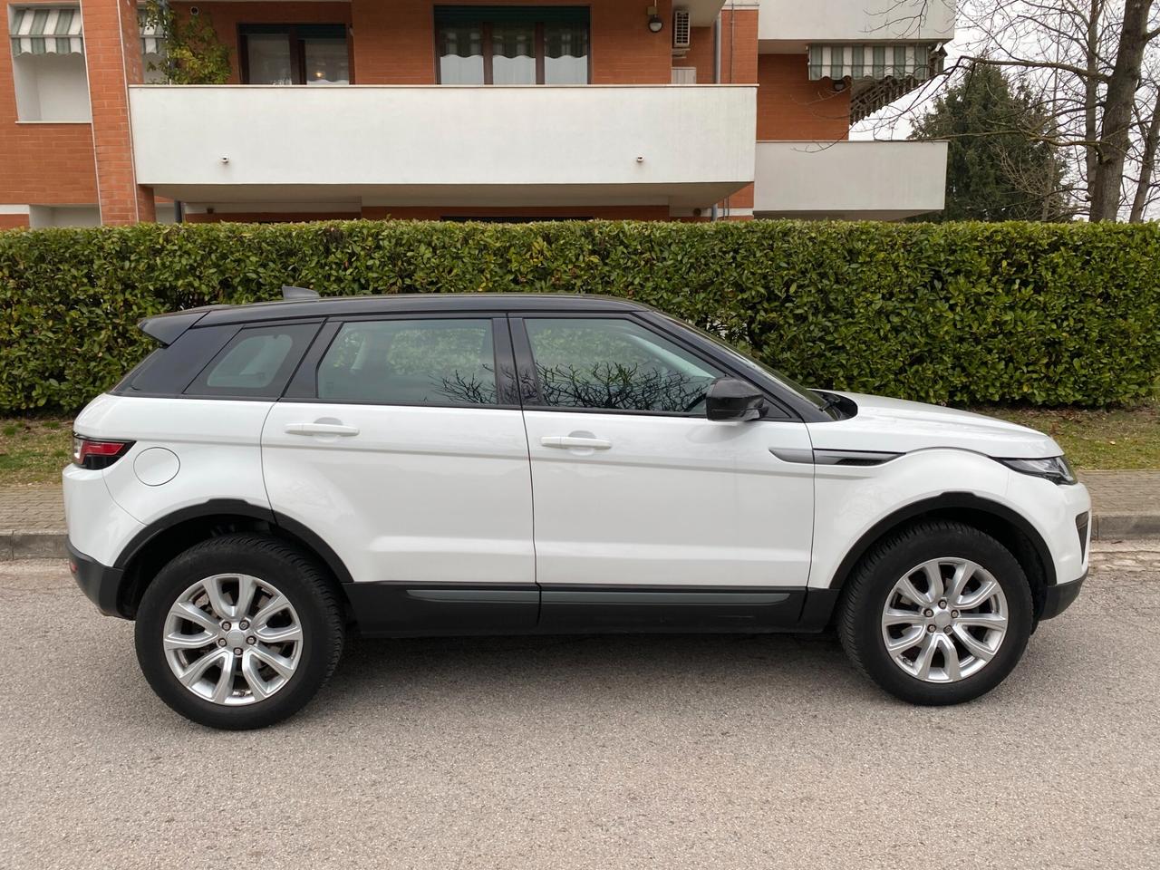 Land Rover Range Evoque 2.0 TD4 150 CV 5p. Pure