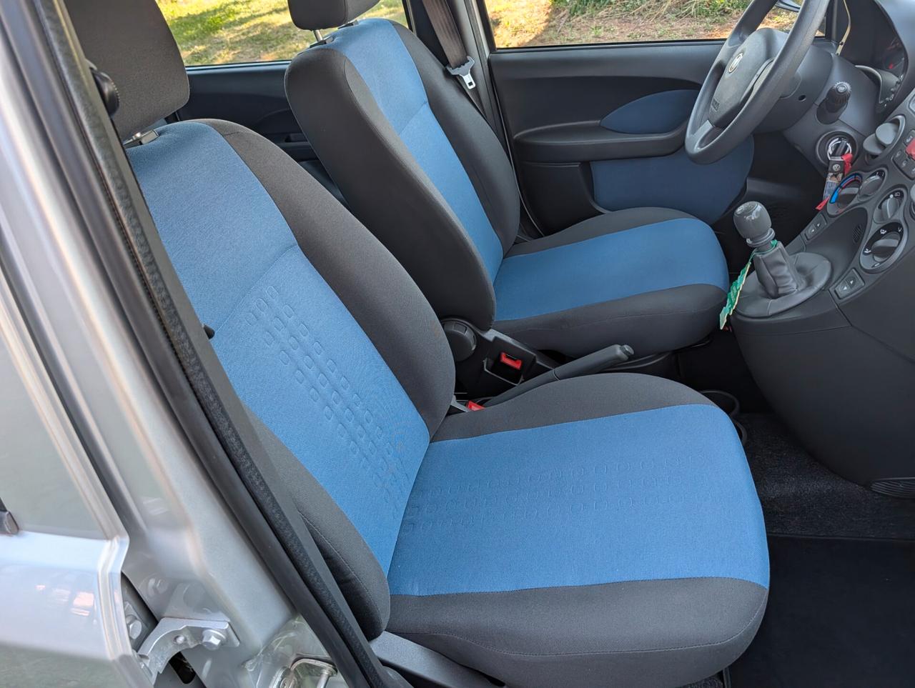 Fiat Panda 1.2 Dynamic OK NEOPATENTATI