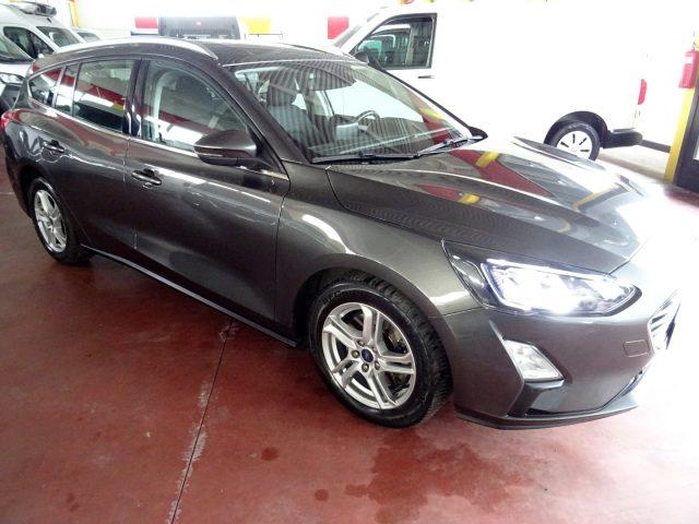 FORD Focus 1.5 EcoBlue 120 CV automatico SW Business Co-Pilot