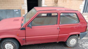 Fiat Panda 1100 i.e. cat Young