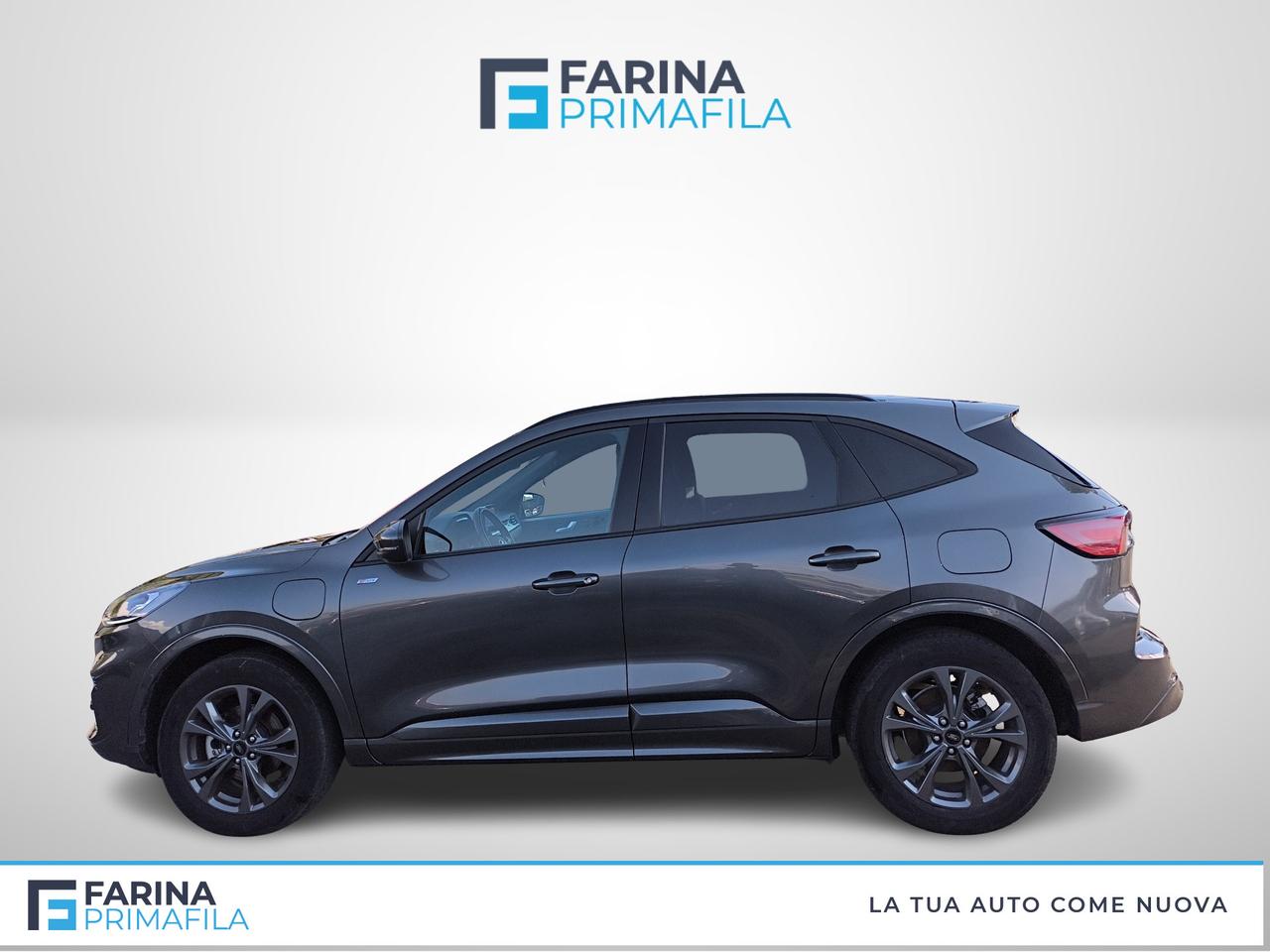 FORD Kuga III 2020 - Kuga 2.5 phev ST-Line X 2wd 225cv cvt