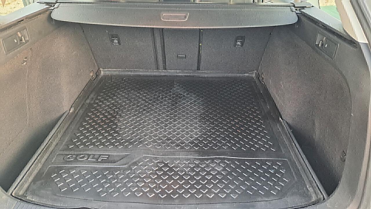 Volkswagen Golf Variant 1.6 TDI 110 CV 5p. Executive BlueMotion Technology