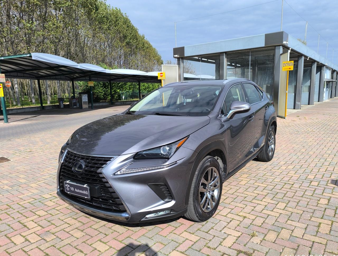 Lexus NX 300h Hybrid Business