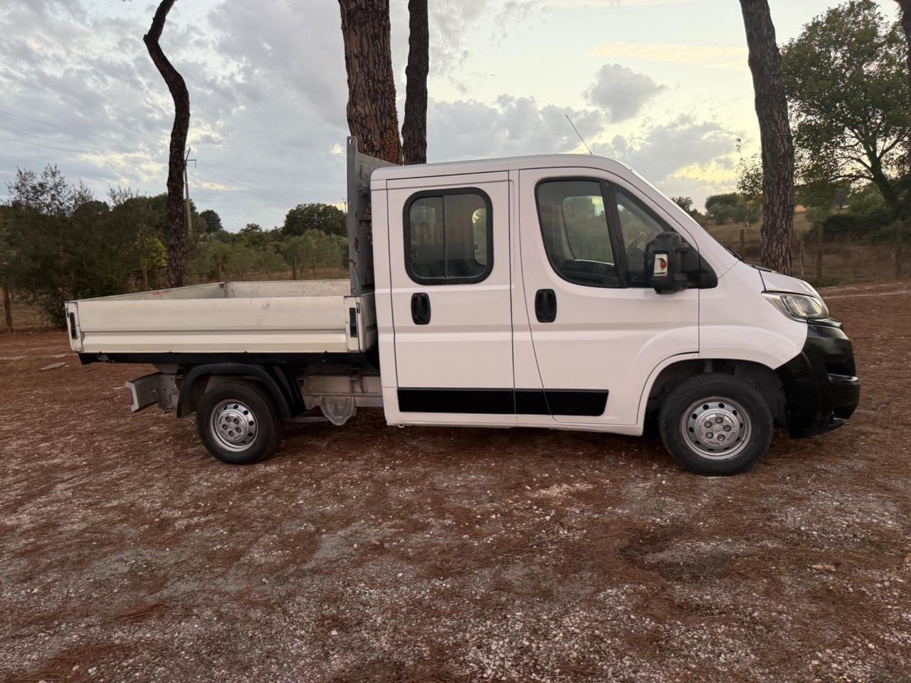 Fiat Ducato Cassonato 7 posti