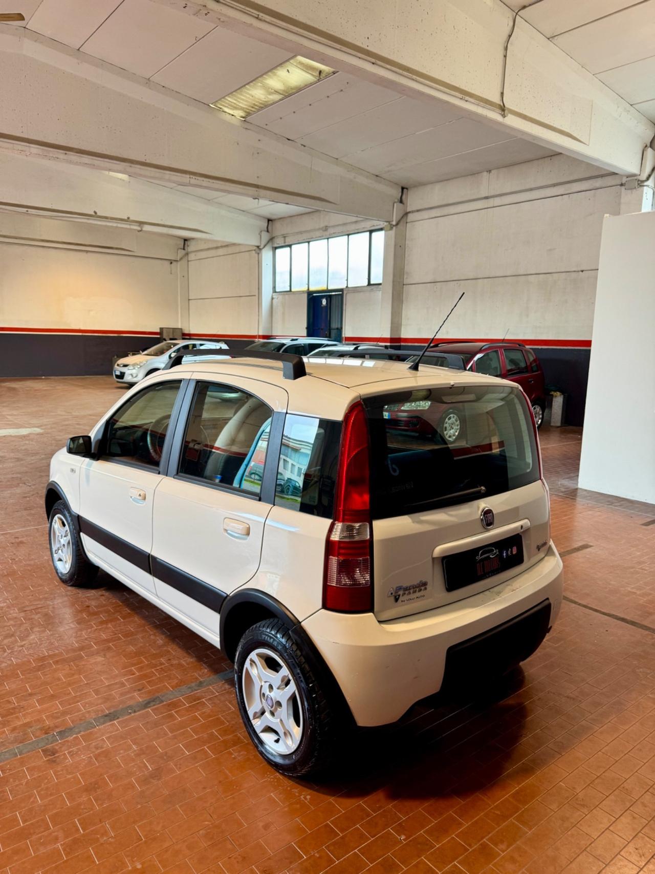 Fiat Panda 1.2 Climbing Natural Power