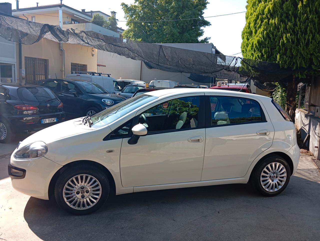 Fiat Punto Evo 1.2 5 porte Dynamic