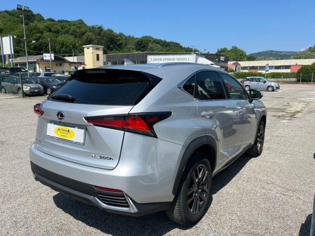 LEXUS NX 300 Hybrid Business