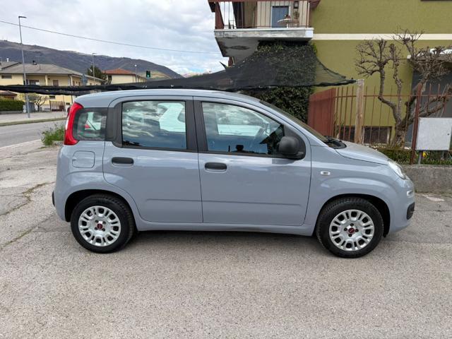 FIAT Panda 1.2 Easy CINGHIA FATTA