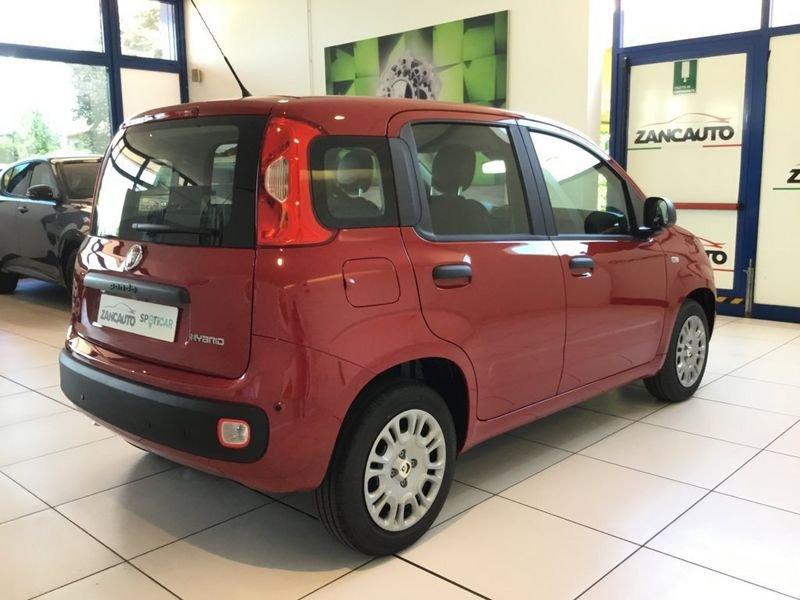 FIAT Panda Panda 1.0 FireFly S&S Hybrid Icon PROMO MESE + TARGA