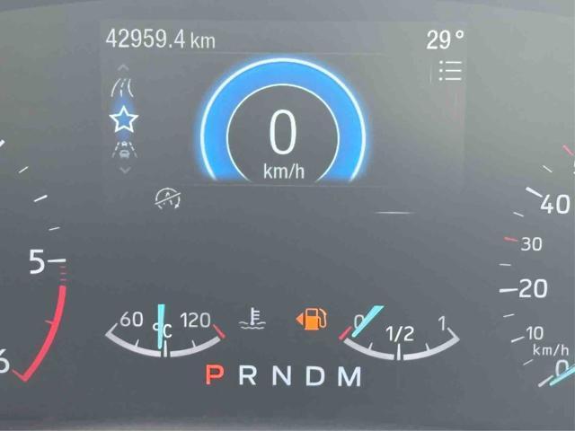FORD Focus 1.5 EcoBlue 115 CV automatico 5p. ST-Line